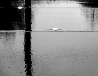 Reality Blurred