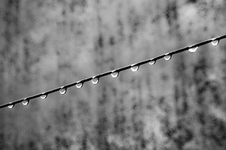 Raindrops