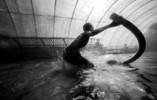 Splash