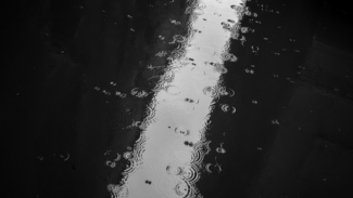 Rain Drops in Venetian Canal