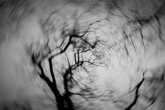 TWISTED WINTER