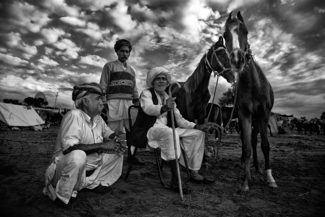 The Men & The Mares