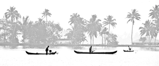 Late Light Fishing