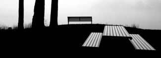 Picnic Table