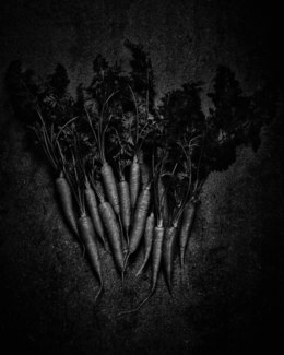 14 Carrots
