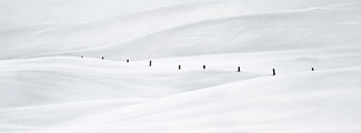 snowscape