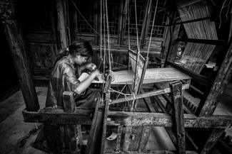 Moonlight Weaving