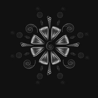 Xray of Shells