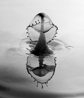 Water Drops