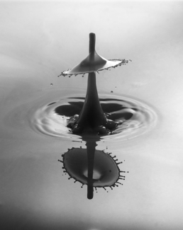 Water Drops