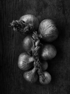 Shallots