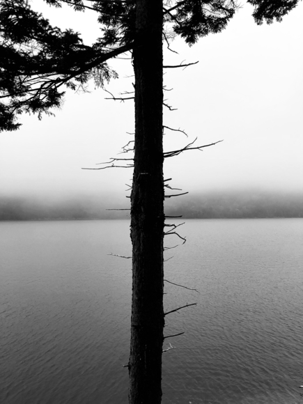 Jordan Pond