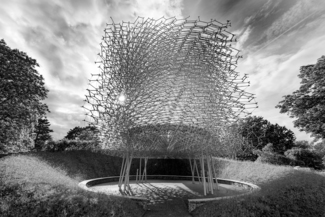 The Hive at Kew Gardens
