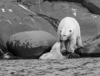 Tender Moment