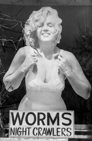 Worms