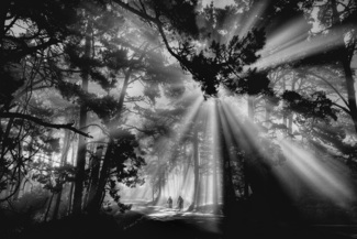 Lightscape