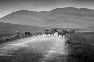 Gran Sasso 