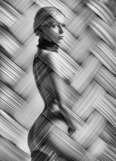 Bamboo