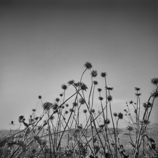 Spain_03