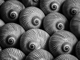I'm Watching