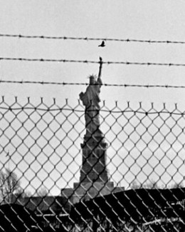 Mother Liberty's Back Yard