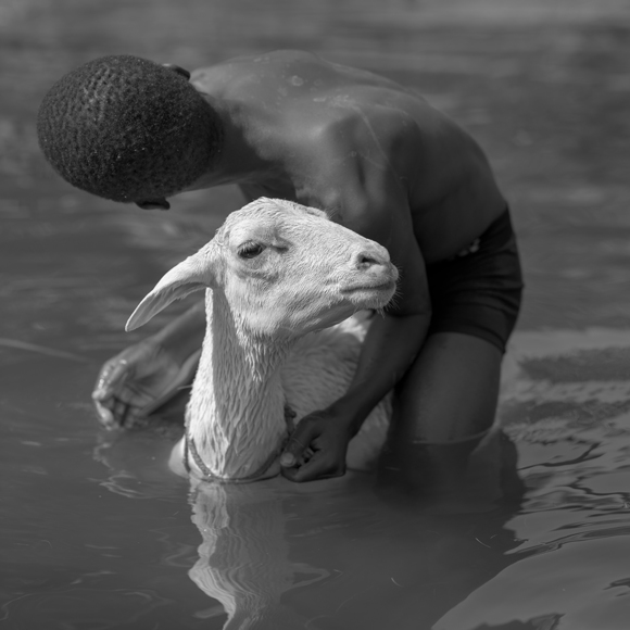 The Washer Boy