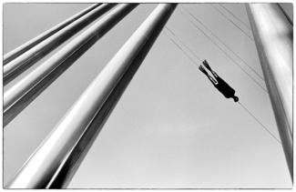 Diver