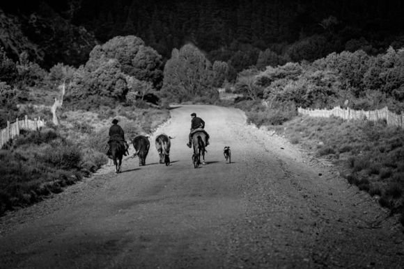 Going Home, Patagonia