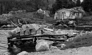 Crab Traps