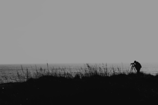 Birdwatcher