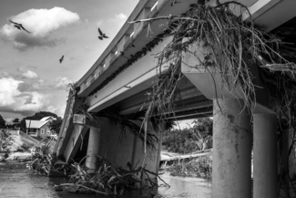 The Flood