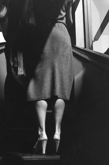 Century City Legs
