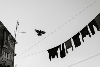 Flights