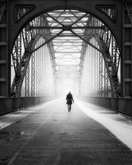 Into the Fog
