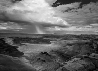 Walking Rain, Petrified Forest AZ 2013