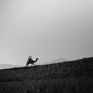 The Journey