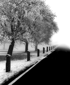 Cold Road