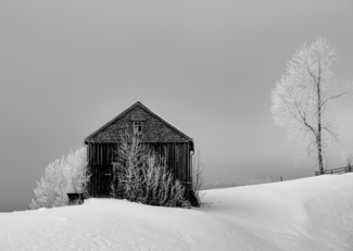 Morning Frost