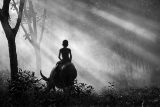 Children Fantasy World