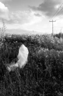 Haunted (1)