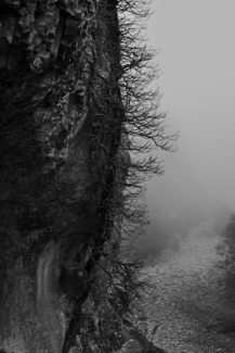Spooky Land