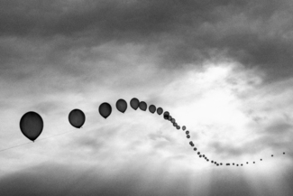 Fly High