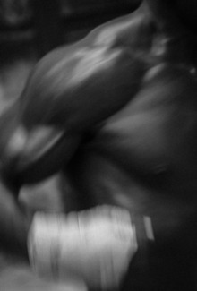 Boxer (1)