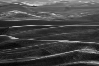 clute-penelope_Palouse