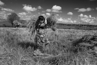 working kid 0544