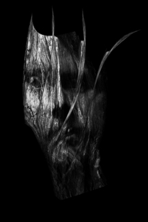 Pierre-The Wood Face