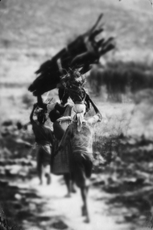 Africa 5