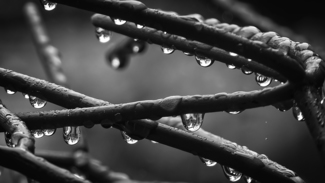 After The Rain