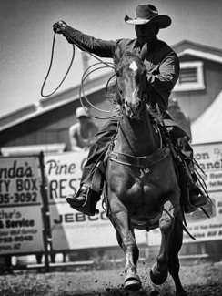 Career Cowboy