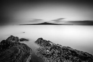 Rangi Dreams